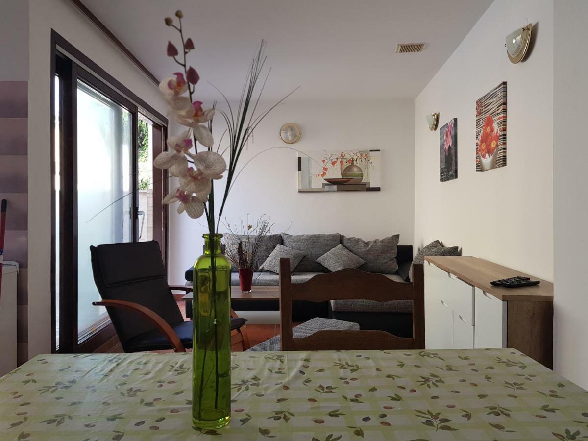 Apartment Novigrad Novigrad Istria 외부 사진